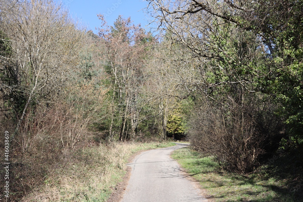 Fototapeta premium Chemin forestier, ville de Bas en Basset, département de la Haute Loire, France