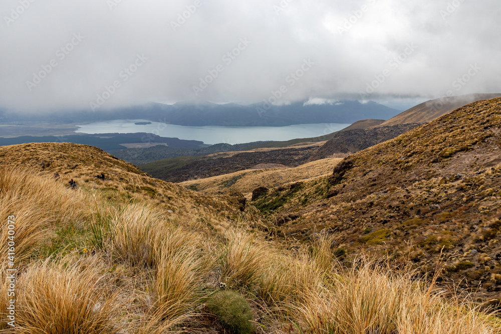 Lande du parc de Tongariro, Nouvelle Zélande Lande du parc de Tongariro, Nouvelle Zélande