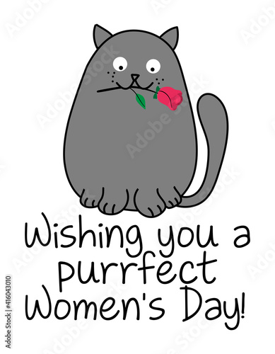 Fototapeta Naklejka Na Ścianę i Meble -  Wishing you a purrfect (perfect) Women's Day - Cute gray cat with a red rose, cartoon vector doodle illustration. Funny doodle animal.