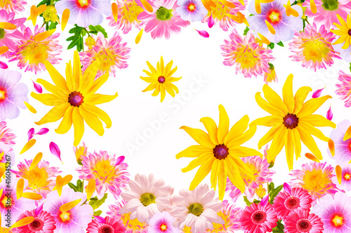 Natural background of bright colorful flowers.