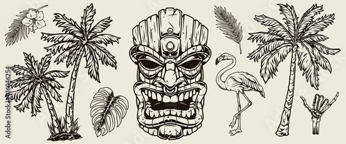 Surfing and hawaii elements concept