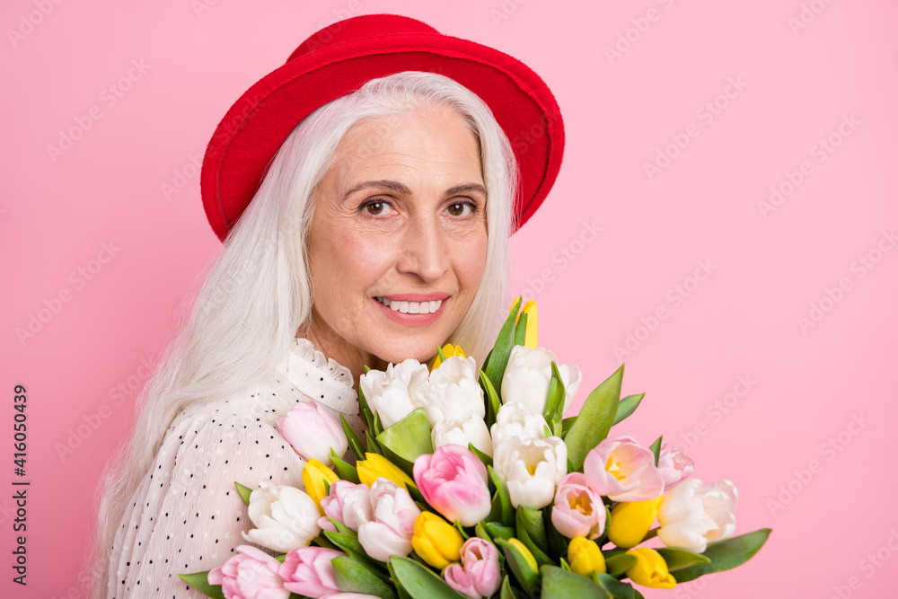 Close-up portrait of attractive cheerful grey-haired granny holding in hands fresh tulips romantic occasion isolated over pink pastel color background Close-up portrait of attractive cheerful grey-haired granny holding in hands fresh tulips romantic occasion isolated over pink pastel color background