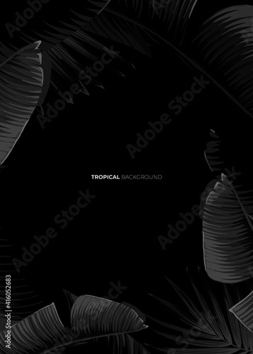 Dark monochrome tropical design with exotic banana leaves, soft neon frames and space for text. Vector summer template for poster, banner, card or flyer.