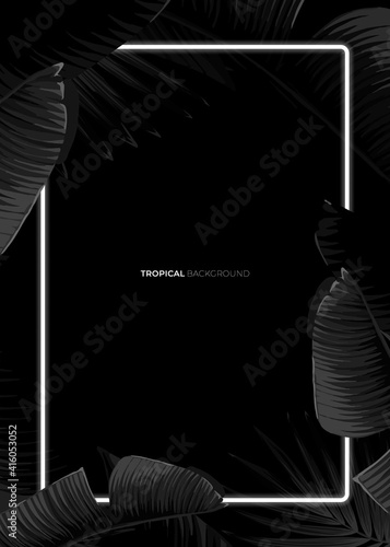 Dark monochrome tropical design with exotic banana leaves, soft neon frames and space for text. Vector summer template for poster, banner, card or flyer.