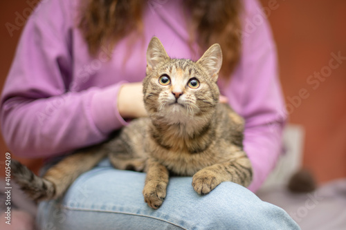 Wallpaper Mural Funny cat smilling Torontodigital.ca