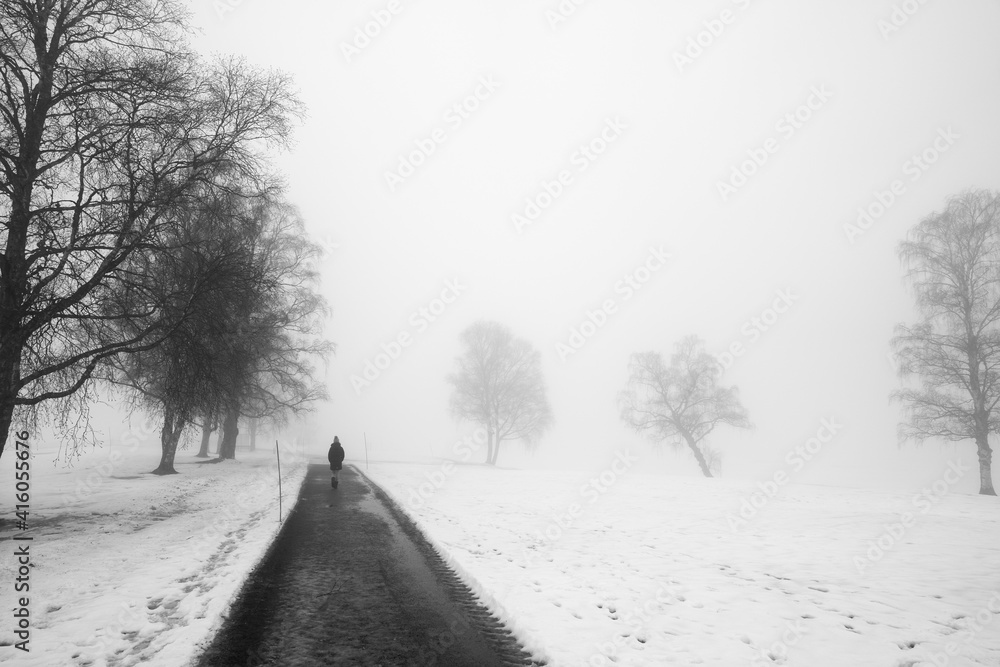 In the misty morning. It's dark and grey outside. The young girl is walking and wonder over the great nature. Moody and dramatic scenery. In the misty morning. It's dark and grey outside. The young girl is walking and wonder over the great nature. Moody and dramatic scenery.