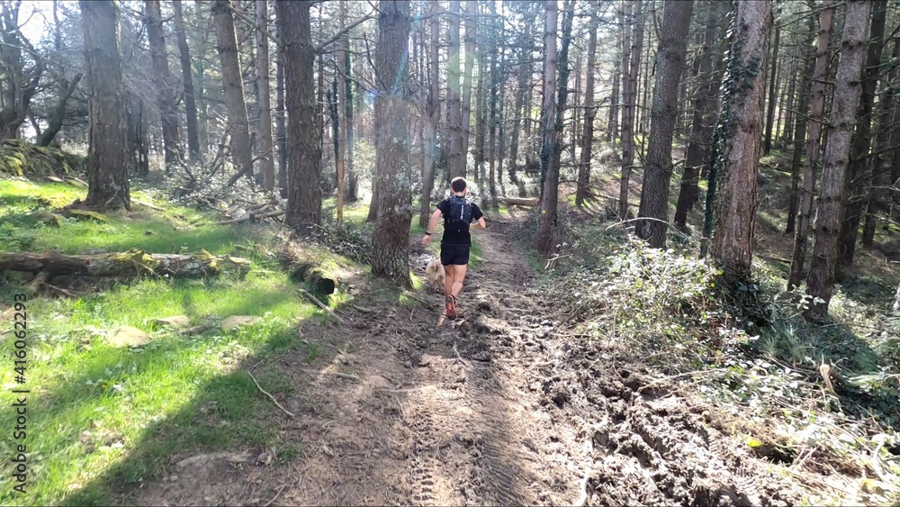 Fototapeta premium young man trail running in the mountains
