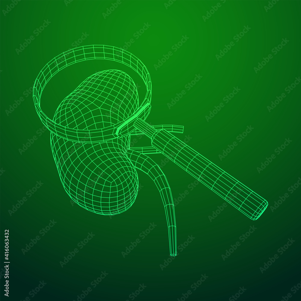 Kidneys human anatomy internal organ with magnifying glass. Medicine science technology concept. Wireframe low poly mesh vector illustration Kidneys human anatomy internal organ with magnifying glass. Medicine science technology concept. Wireframe low poly mesh vector illustration