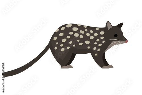 Cute wild rodent. Cartoon fluffy exotic animal, funny tasmanian quoll, vector illustration of night predator with spots isolated on white background