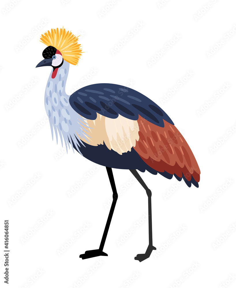 Fototapeta premium Bird with long legs. Cartoon colored exotic character of nature with beak and feathers, vector illustration of crested crane isolated on white background