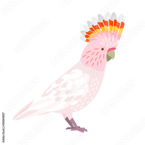 Beautiful cockatoo. Cartoon jungle parakeet with beak and feathers, tropical winged bird, vector illustration of exotic sky character with plumage isolated on white background