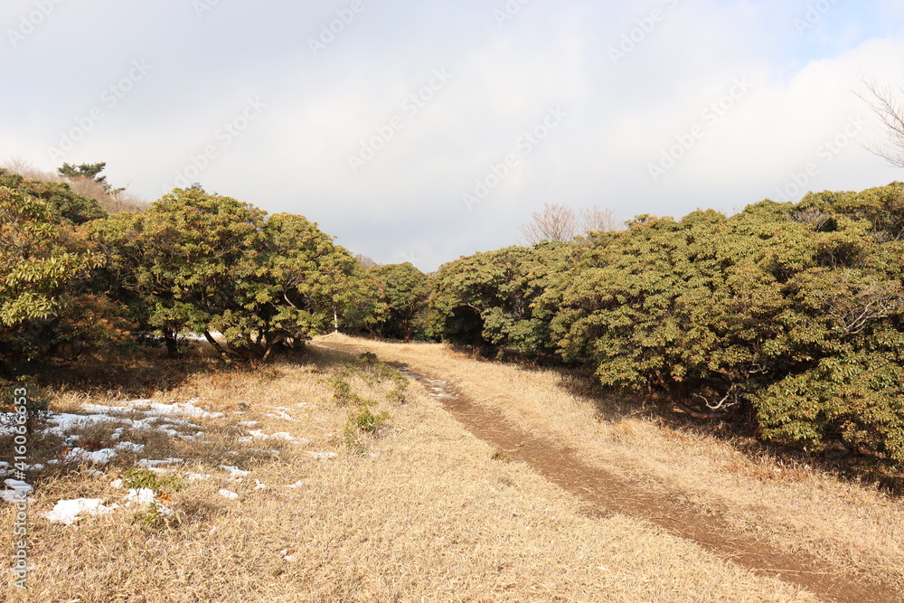 Fototapeta premium 入道ヶ岳の山道の景色
