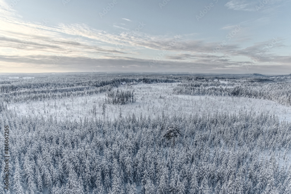Drone shot of Lapland forest in winter Drone shot of Lapland forest in winter