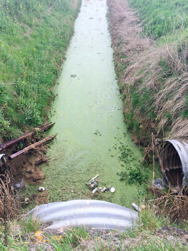 Photos Fen land field drain full of green water weed