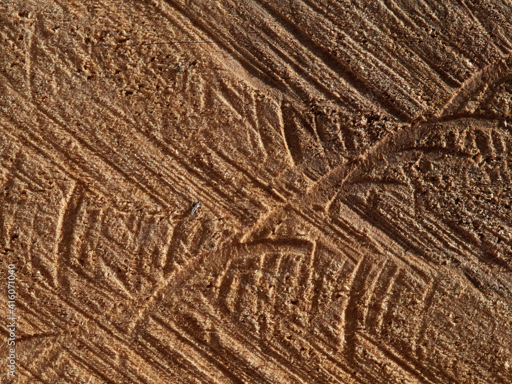 Tree rings old weathered wood texture with the cross section of a cut log. Tree rings old weathered wood texture with the cross section of a cut log.