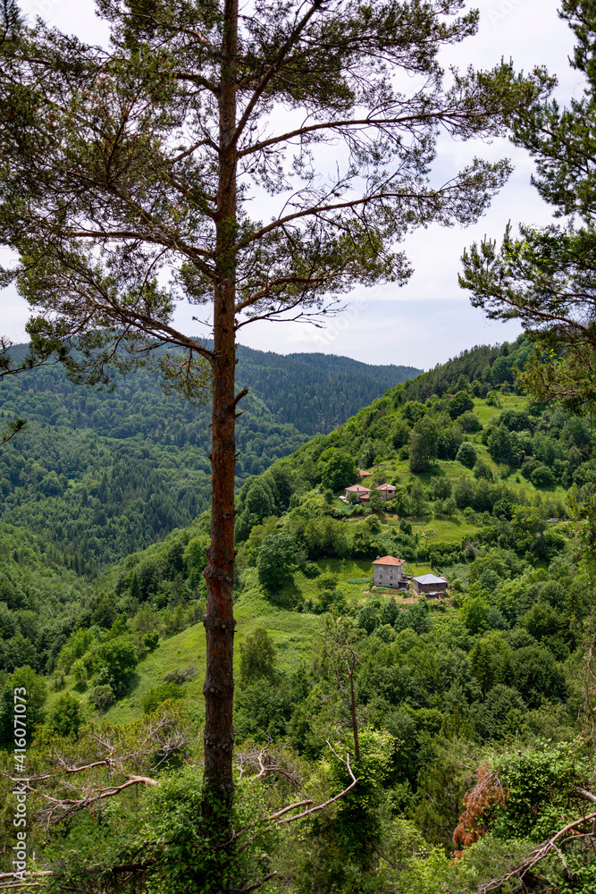 Obraz premium Beautiful breathtaking idyllic mountain view