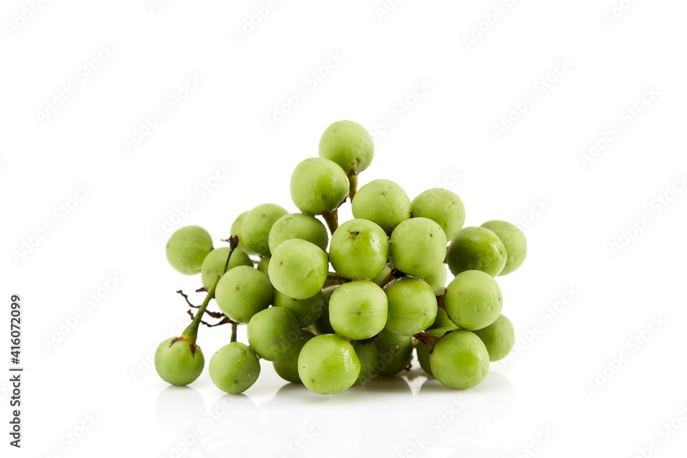 Solanum torvum ,Turkey berry on white