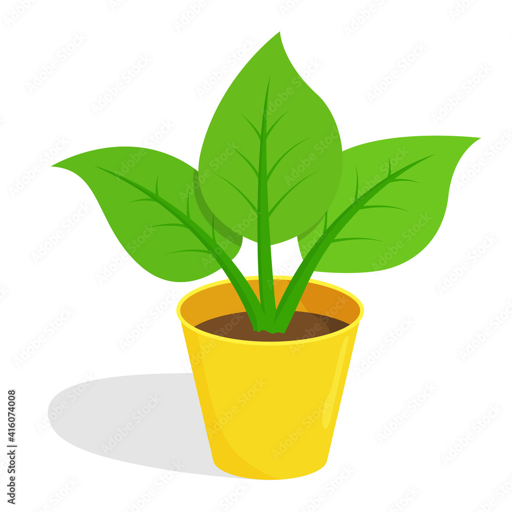 Indoor plant in a yellow pot, cartoon. Isolated color object on a white. Indoor plant in a yellow pot, cartoon. Isolated color object on a white.