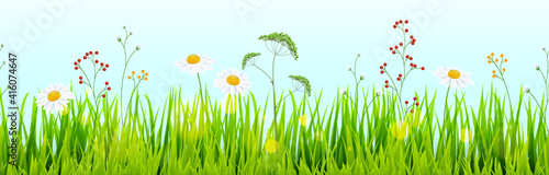 seamless floral grass panorama background