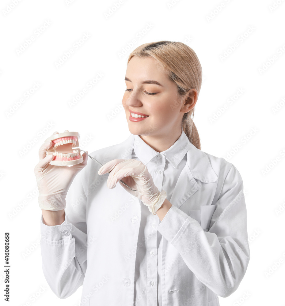 Female dentist with plastic jaw model on white background Female dentist with plastic jaw model on white background