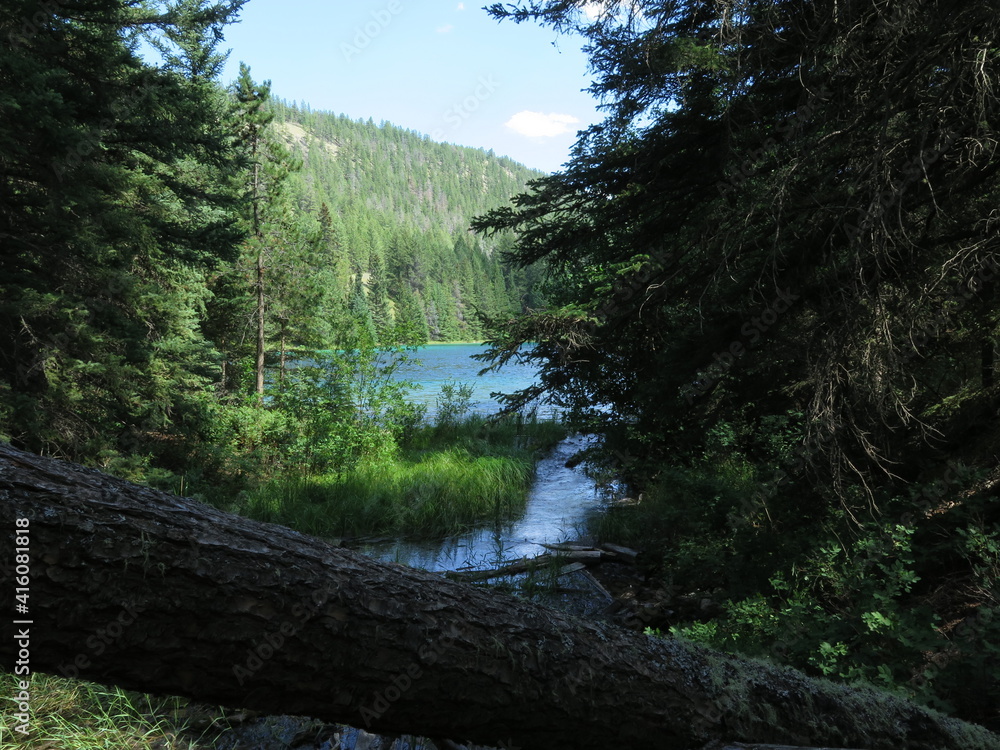 Obraz premium the Valley of the Five Lakes circuit, close to Jasper, Icefields Parkway, Rocky Mountains, Alberta, Canada, July