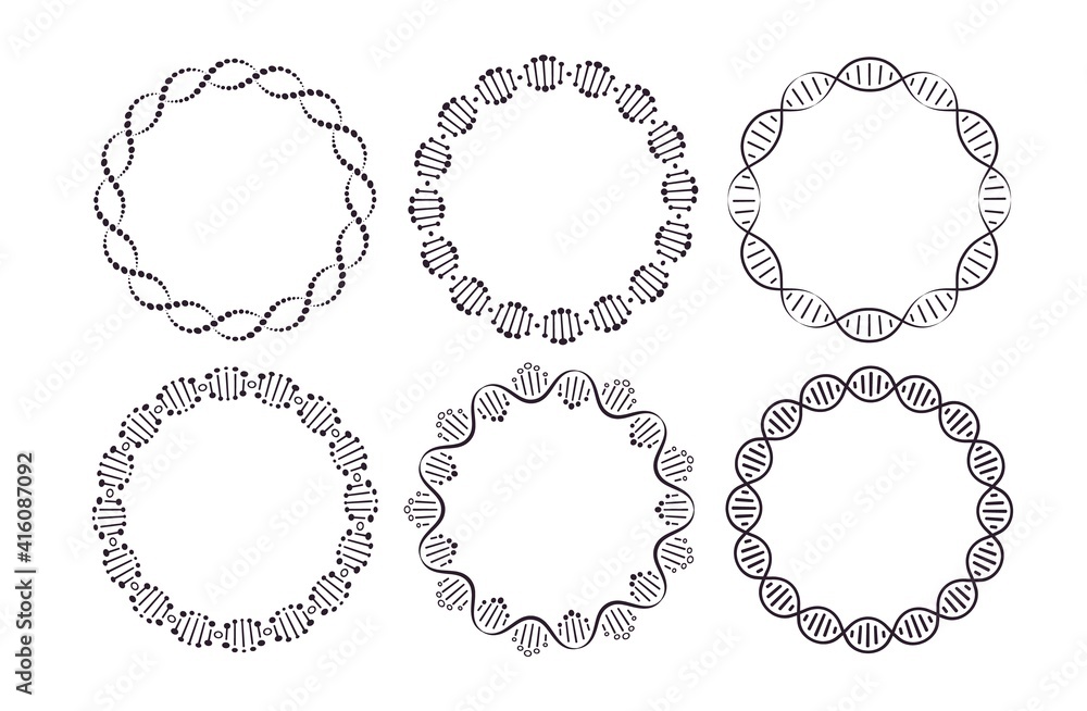DNA round frames. Circle framing with genome helix structure isolated on white background vector set. Six pattern brushes in panel. Molecular round border for science, biology or medicine