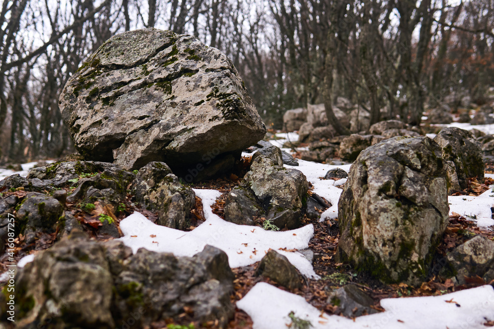 stones thawed out from under the snow in a spring mountain forest