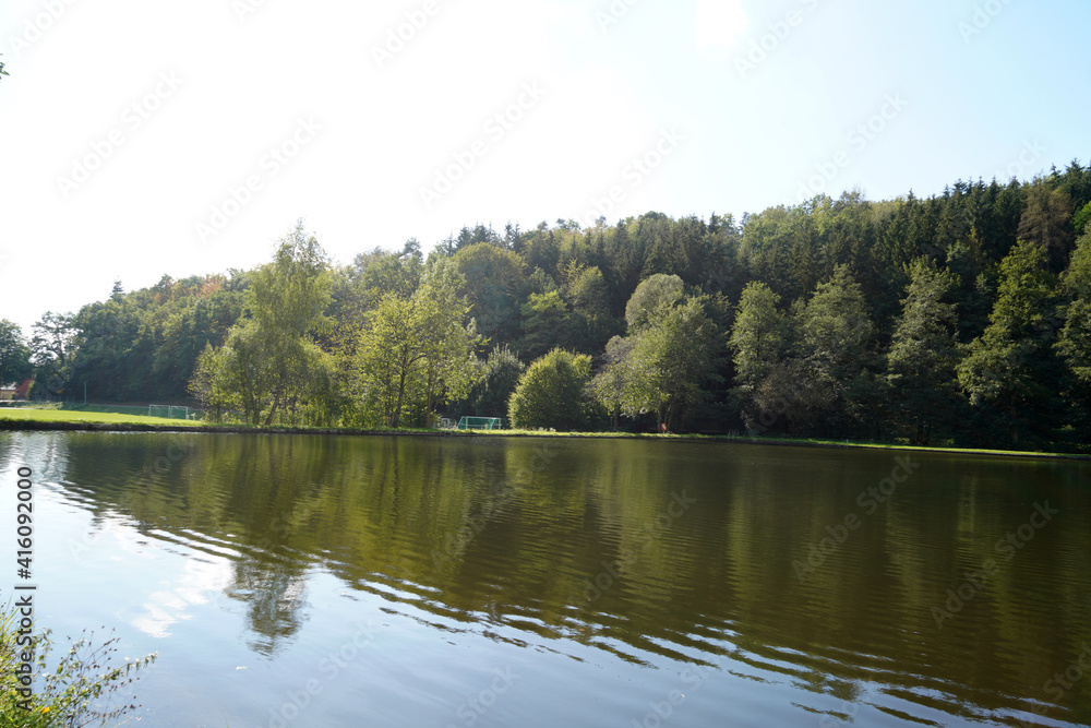 Natural swimming pool in the forest in Bavaria in summer photographed in sunlight