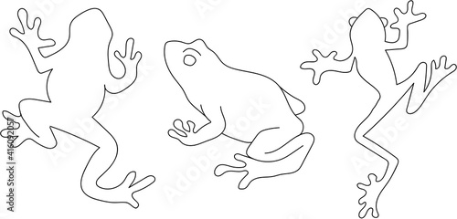 Set of line art amphibians in black and white. Outlines of frogs in a minimal style with no background