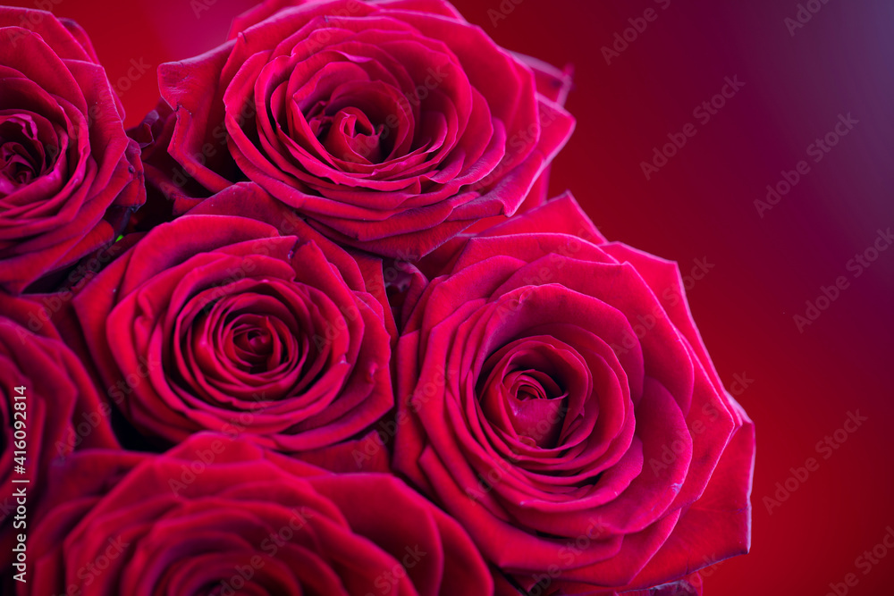 Bunch of roses on the bokeh background. Women’s day gift. Bunch of roses on the bokeh background. Women’s day gift.