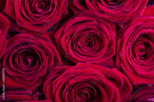 Bunch of roses on the bokeh background. Women   s day gift. 