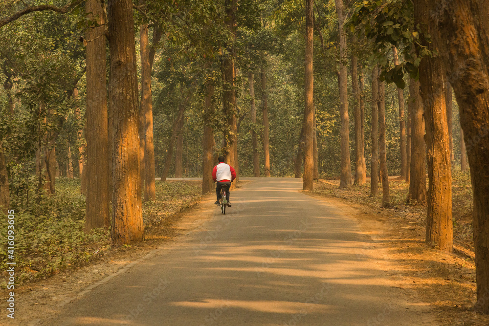 Cycling in Nepalese forest