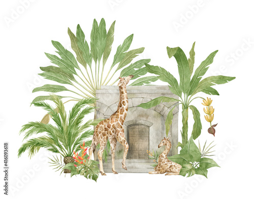 Photography Watercolor composition with giraffe, old jungle architecture, palm trees, leaves and plants