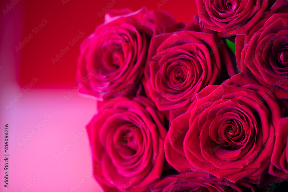 Bunch of roses on the bokeh background. Women’s day gift. 