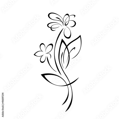ornament 1572. two stylized flowers on stems with leaves in black lines on white background
