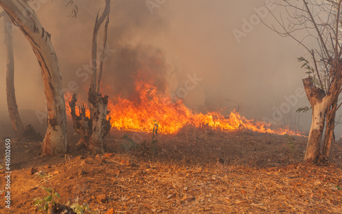 Wildfire in Malawi