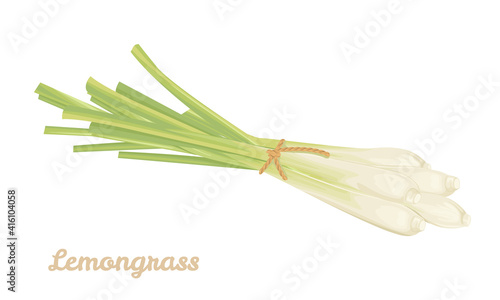 Bunch of lemongrass tied with rope isolated on white background. Vector illustration of fragrant herb in cartoon flat style.