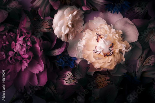 Fototapeta Naklejka Na Ścianę i Meble -  vintage card with peonies, alstroemeries on dark background.