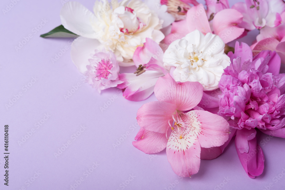 pink and white peonies  on pink background