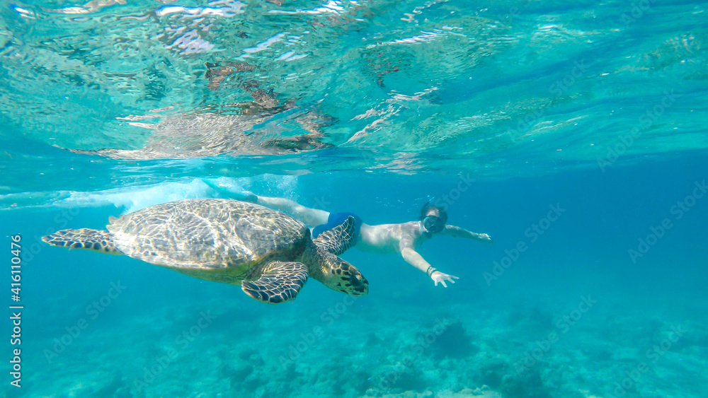 A man in a diving mask and fins diving along a turtle, next to the shore of Gili Air, Lombok Indonesia. Beautiful and crystal clear water. Peaceful coexistence of human and animal. Dream coming true. A man in a diving mask and fins diving along a turtle, next to the shore of Gili Air, Lombok Indonesia. Beautiful and crystal clear water. Peaceful coexistence of human and animal. Dream coming true.