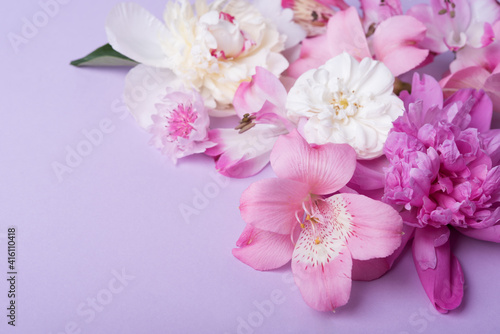pink and white peonies  on pink background