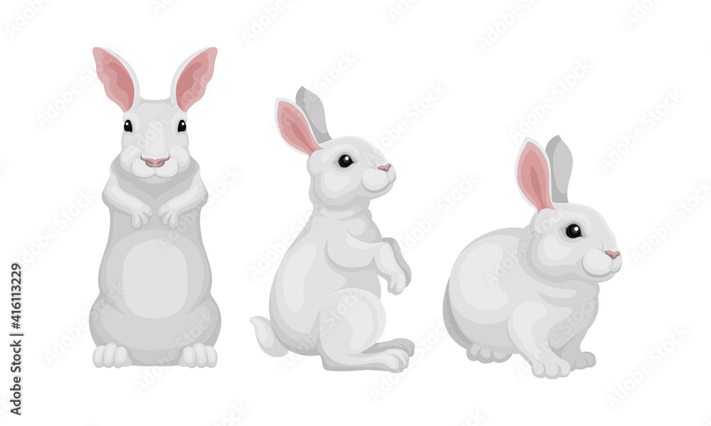 Rabbit as Small Mammal with White Coat in Different Poses Vector Set Rabbit as Small Mammal with White Coat in Different Poses Vector Set