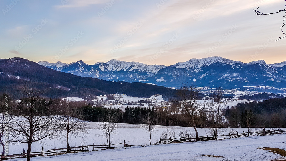 A panoramic view on an alpine winter landscape of Austria. There are high mountain chains in the back. Fresh snow is covering the ground and the trees. Winter wonderland. Crispy day.
