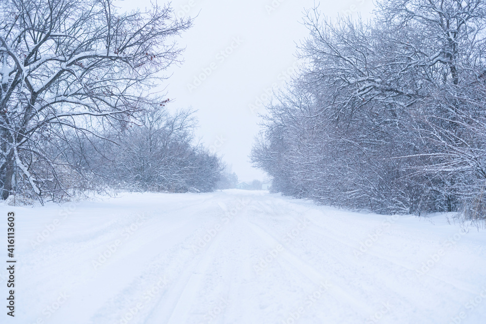 beautiful landscape, snowy road in the forest between the trees, winter sseason