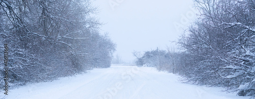 beautiful landscape, snowy road in the forest between the trees, winter sseason photo