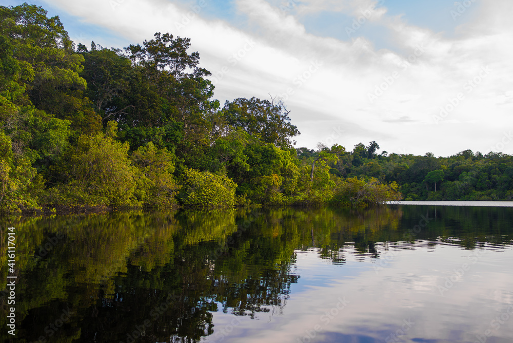 Reflections in the Rio Negro river in the Amazon Jungle, Brazil