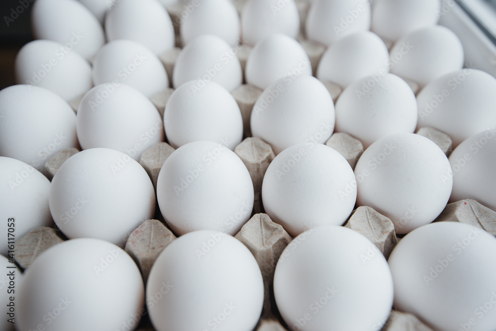 Tray of white fresh eggs close-up on a cardboard form. Agricultural industry Tray of white fresh eggs close-up on a cardboard form. Agricultural industry