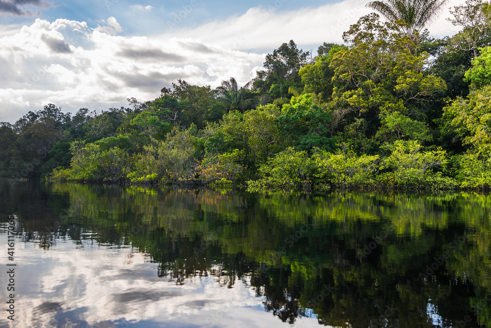 Reflections in the Rio Negro river in the Amazon Jungle, Brazil