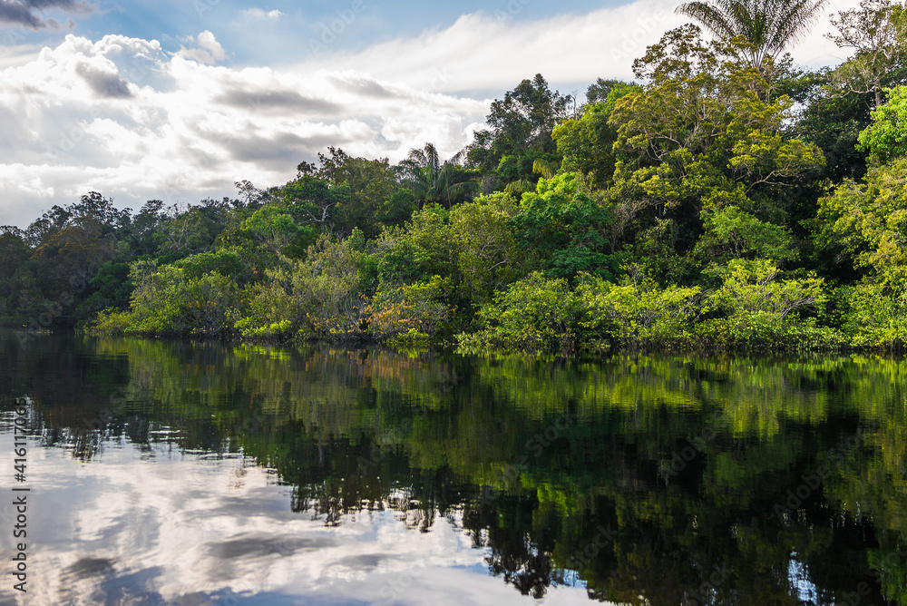 Reflections in the Rio Negro river in the Amazon Jungle, Brazil Reflections in the Rio Negro river in the Amazon Jungle, Brazil
