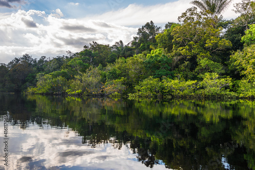 Reflections in the Rio Negro river in the Amazon Jungle, Brazil